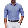 Blue Gingham