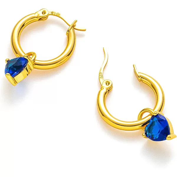 C.Paravano Hoop Earrings for Women | 18K Gold Plated Hoop Earrings | Platinum Hoop Earrings for Women | 925 Sterling Silver Hoop Earrings | Earrings for Women