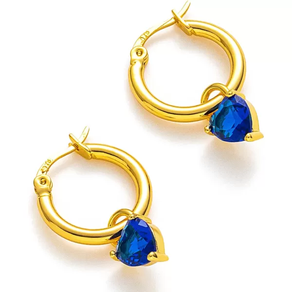 C.Paravano Hoop Earrings for Women | 18K Gold Plated Hoop Earrings | Platinum Hoop Earrings for Women | 925 Sterling Silver Hoop Earrings | Earrings for Women