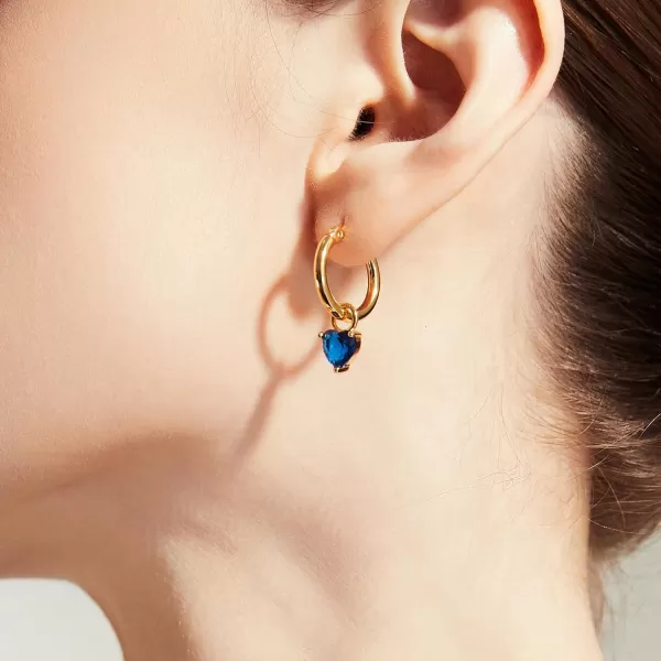 C.Paravano Hoop Earrings for Women | 18K Gold Plated Hoop Earrings | Platinum Hoop Earrings for Women | 925 Sterling Silver Hoop Earrings | Earrings for Women