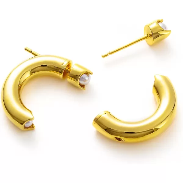 C.Paravano Hoop Earrings for Women | 18K Gold Plated Hoop Earrings | Platinum Hoop Earrings for Women | 925 Sterling Silver Hoop Earrings | Earrings for Women