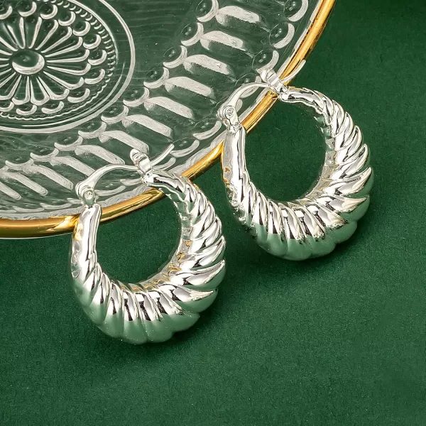 C.Paravano Hoop Earrings for Women | 18K Gold Plated Hoop Earrings | Platinum Hoop Earrings for Women | 925 Sterling Silver Hoop Earrings | Earrings for Women