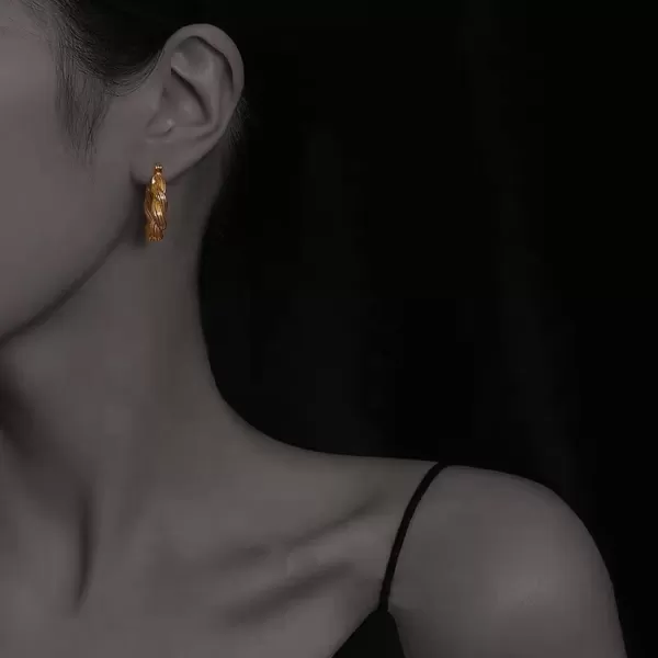 C.Paravano Hoop Earrings for Women | 18K Gold Plated Hoop Earrings | Platinum Hoop Earrings for Women | 925 Sterling Silver Hoop Earrings | Earrings for Women