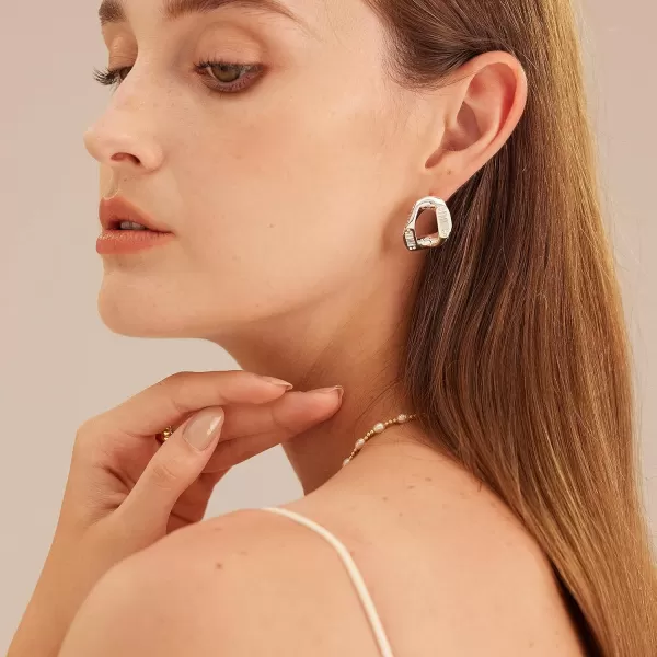 C.Paravano Hoop Earrings for Women | 18K Gold Plated Hoop Earrings | Platinum Hoop Earrings for Women | 925 Sterling Silver Hoop Earrings | Earrings for Women