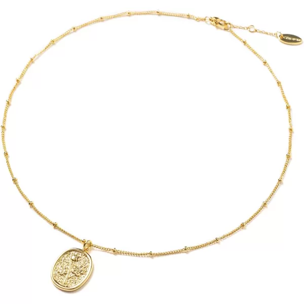 C.Paravano Necklaces for Women Gold 18K | Necklace for Women Silver | Jewelry for Women | Pendant Necklace for Women | Necklaces for Her | Gemstone Necklace