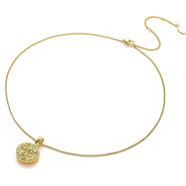 C.Paravano Necklaces for Women | Jewelry | Necklace | Jewelry for Women | Chain Necklace | Pendant Necklace for Women