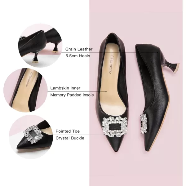 C.Paravano Women's Pumps I Pointed Toe Kitten Heel I Closed Toe Dress Pump I Comfortable Wedding Shoes