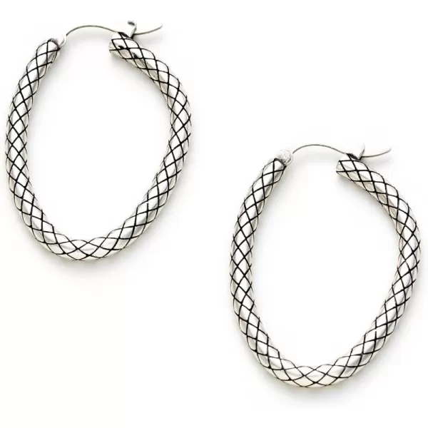 C.Paravano Hoop Earrings for Women | 18K Gold Plated Hoop Earrings | Platinum Hoop Earrings for Women | 925 Sterling Silver Hoop Earrings | Earrings for Women