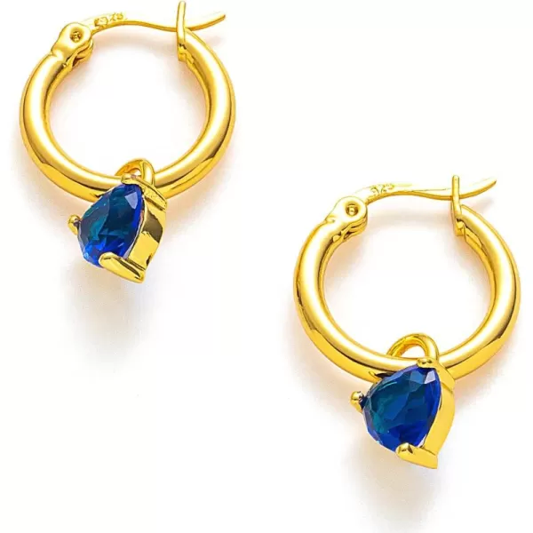 C.Paravano Hoop Earrings for Women | 18K Gold Plated Hoop Earrings | Platinum Hoop Earrings for Women | 925 Sterling Silver Hoop Earrings | Earrings for Women