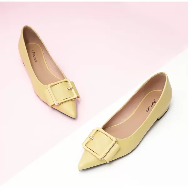 C.Paravano Flat Shoes | Leather Flats for Women | Pointed Toe Flats | Women Flat Shoes | Ballet for Women Shoes | Work Flats for Women