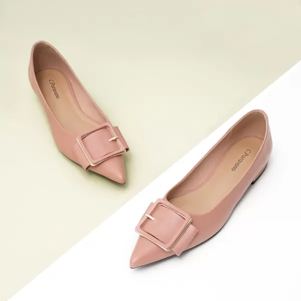 C.Paravano Flat Shoes | Leather Flats for Women | Pointed Toe Flats | Women Flat Shoes | Ballet for Women Shoes | Work Flats for Women
