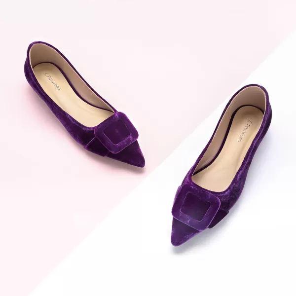 C.Paravano Flat Shoes | Leather Flats for Women | Pointed Toe Flats | Women Flat Shoes | Ballet for Women Shoes | Work Flats for Women