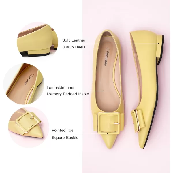 C.Paravano Flat Shoes | Leather Flats for Women | Pointed Toe Flats | Women Flat Shoes | Ballet for Women Shoes | Work Flats for Women