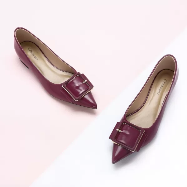 C.Paravano Flat Shoes | Leather Flats for Women | Pointed Toe Flats | Women Flat Shoes | Ballet for Women Shoes | Work Flats for Women