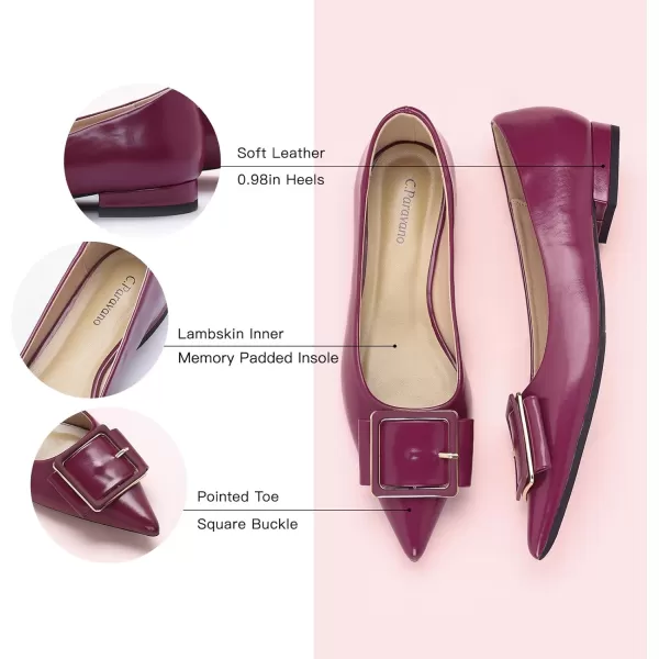 C.Paravano Flat Shoes | Leather Flats for Women | Pointed Toe Flats | Women Flat Shoes | Ballet for Women Shoes | Work Flats for Women