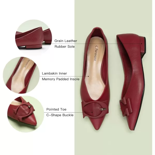 C.Paravano Flat Shoes for Women | Ballet Shoes | Pointed Toe Flats | Leather Flats for Women | Comfortable Slip on Women's Flats | Work Flats for Women