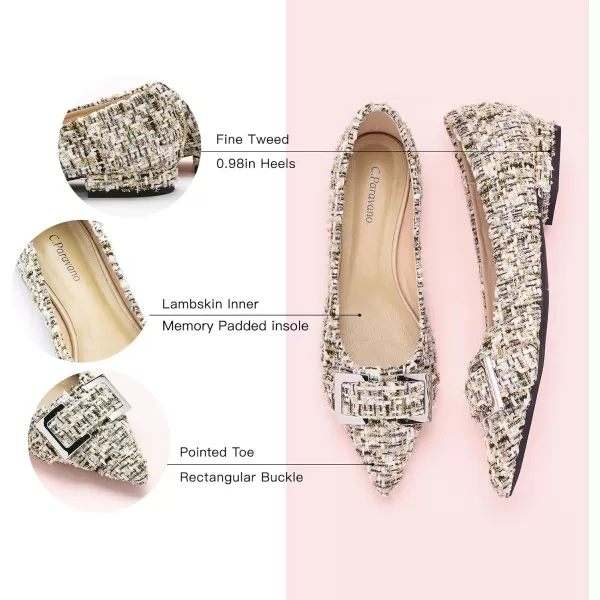 C.Paravano Flats for Women | Women's Flats | Slip on Flats | Ballet Flats for Women | Pointed Toe Flats | Womens Dressy Flats