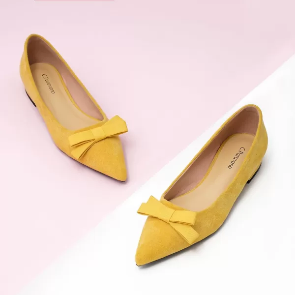 C.Paravano Women's Flats I Ballet Flats for Women I Pointed Toe Flats for Women I Bow Knot Flats Shoes Women I Slip on Flats