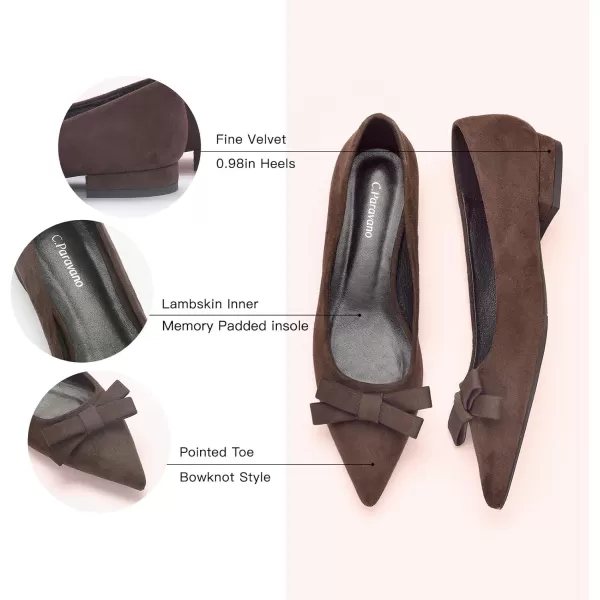 C.Paravano Women's Flats I Ballet Flats for Women I Pointed Toe Flats for Women I Bow Knot Flats Shoes Women I Slip on Flats