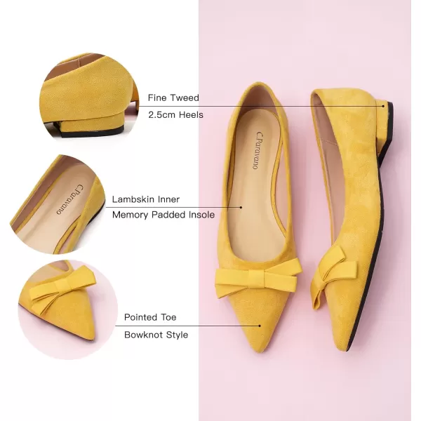 C.Paravano Women's Flats I Ballet Flats for Women I Pointed Toe Flats for Women I Bow Knot Flats Shoes Women I Slip on Flats