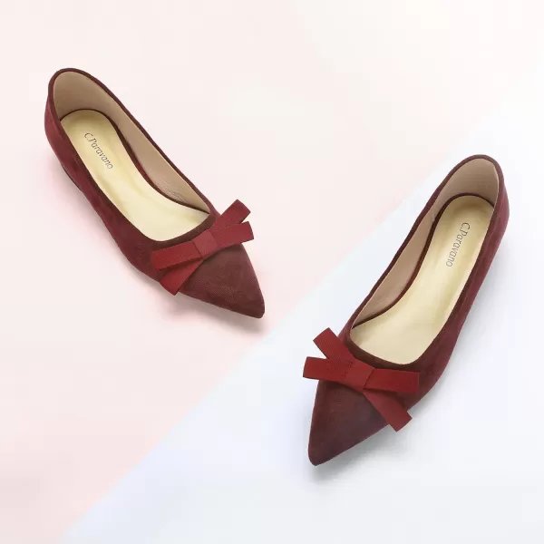 C.Paravano Women's Flats I Ballet Flats for Women I Pointed Toe Flats for Women I Bow Knot Flats Shoes Women I Slip on Flats