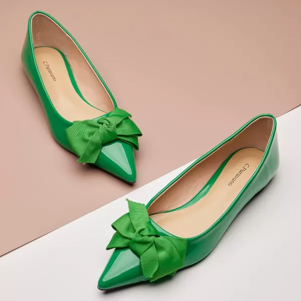 C.Paravano Women's Flats I Ballet Flats for Women I Pointed Toe Flats for Women I Bow Knot Flats Shoes Women I Slip on Flats