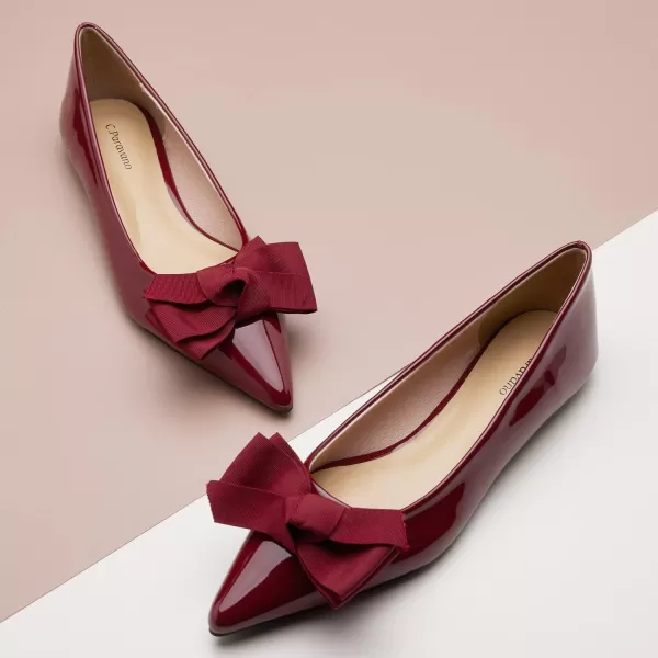 C.Paravano Women's Flats I Ballet Flats for Women I Pointed Toe Flats for Women I Bow Knot Flats Shoes Women I Slip on Flats