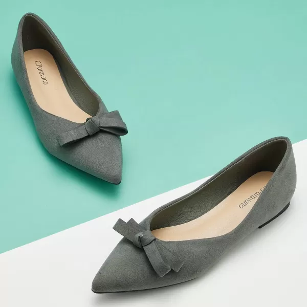 C.Paravano Women's Flats I Ballet Flats for Women I Pointed Toe Flats for Women I Bow Knot Flats Shoes Women I Slip on Flats