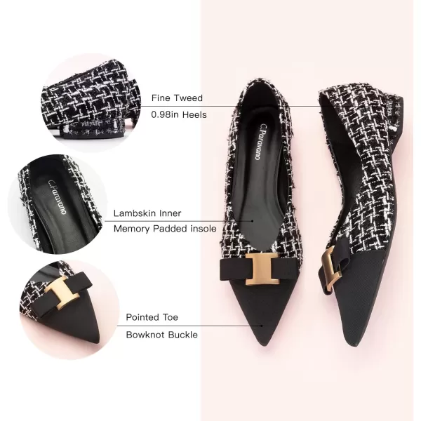 C.Paravano Women’s Flats I Flat for Women Leather I Pointed Toe Flats I Ballet Flats for Women I Slip on Dressy Flats