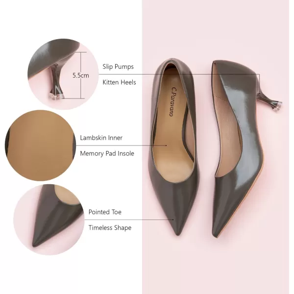 C.Paravano Women's Pumps I Pointed Toe Stiletto Pumps I Kitten Low Heel Daily Pumps I Closed Toe Slip On Comfortable Heels