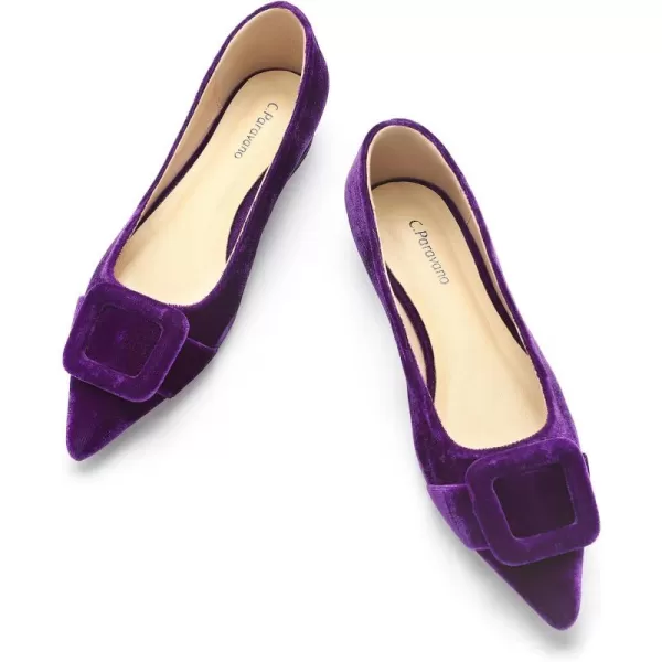 C.Paravano Flat Shoes | Leather Flats for Women | Pointed Toe Flats | Women Flat Shoes | Ballet for Women Shoes | Work Flats for Women