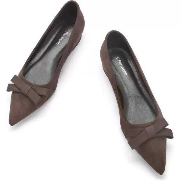 C.Paravano Women's Flats I Ballet Flats for Women I Pointed Toe Flats for Women I Bow Knot Flats Shoes Women I Slip on Flats