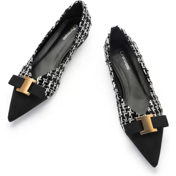 C.Paravano Women’s Flats I Flat for Women Leather I Pointed Toe Flats I Ballet Flats for Women I Slip on Dressy Flats