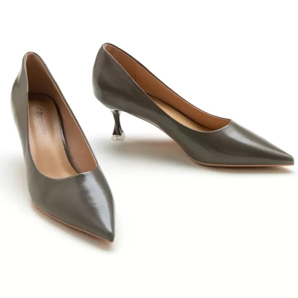 C.Paravano Women's Pumps I Pointed Toe Stiletto Pumps I Kitten Low Heel Daily Pumps I Closed Toe Slip On Comfortable Heels