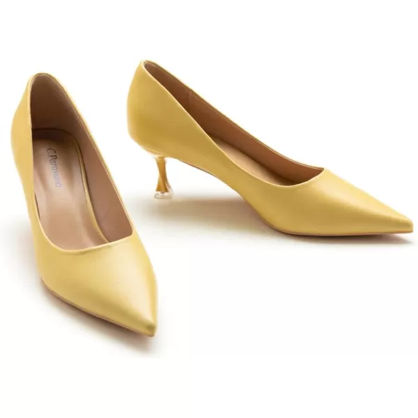 C.Paravano Women's Pumps I Pointed Toe Stiletto Pumps I Kitten Low Heel Daily Pumps I Closed Toe Slip On Comfortable Heels