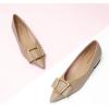 imageCParavano Womens Flats I Pointed Toe Flats for Women I Women Flat Shoes I Crystal Buckle Flats I Ballet Flats Shoes for Women I Slip on Dressy FlatsGrey A12