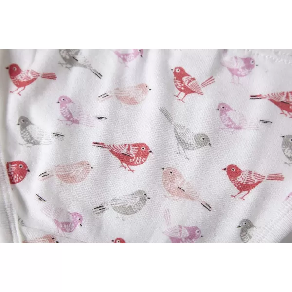 Cadidi Dinos Baby Soft Cotton Underwear Little Girls'Briefs Toddler Undies