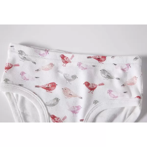 Cadidi Dinos Baby Soft Cotton Underwear Little Girls'Briefs Toddler Undies