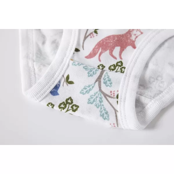 Cadidi Dinos Baby Soft Cotton Underwear Little Girls'Briefs Toddler Undies