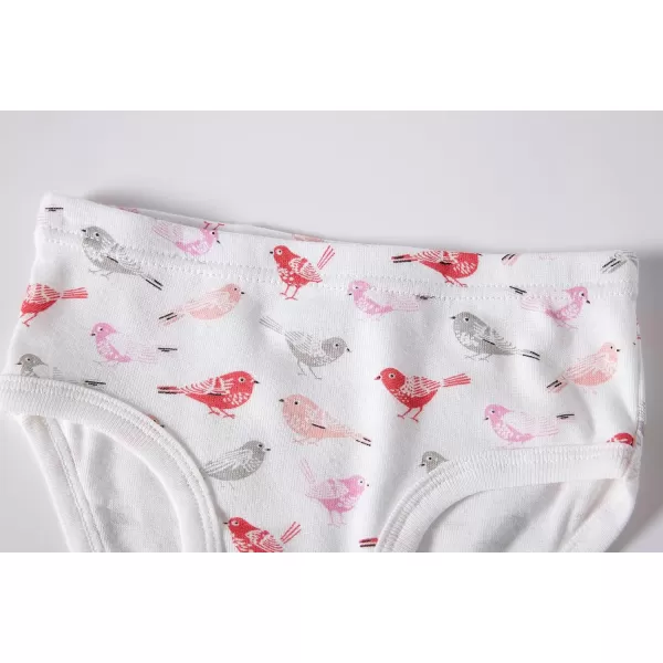 Cadidi Dinos Little Girls' Soft Cotton Underwear Kids Cool Breathable Comfort Panty Briefs Toddler Undies