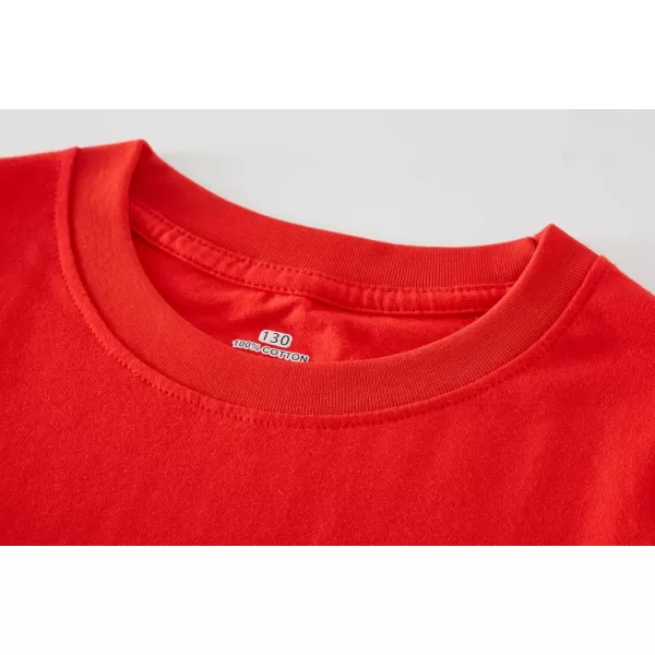 Cadidi Dinos Boys Girls Long Sleeve Shirts Cotton Casual Crewneck Printed Kids T-Shirts