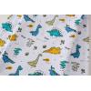 imageCadidi Dinos Kids Printed Tee Shirts Cotton Casual Crewneck Tops TShirt2 PackaircraftDino