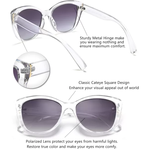 FEISEDY Polarized Vintage Sunglasses American Womens Square Jackie O Cat Eye Sunglasses B2451Transparent Grey