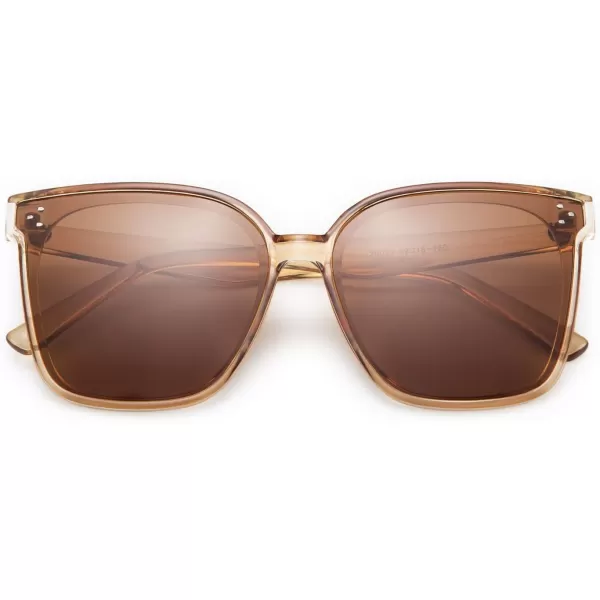 FEISEDY Retro Square Polarized Sunglasses Women Men Vintage Minimalist Shades B2600Champagne Crystal