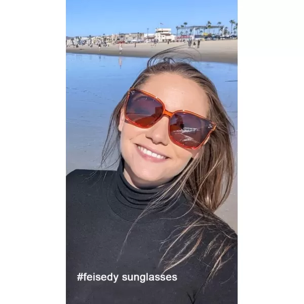 FEISEDY Retro Square Polarized Sunglasses Women Men Vintage Minimalist Shades B2600Jacinth