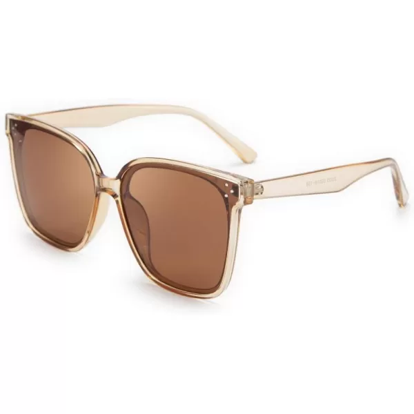 FEISEDY Retro Square Polarized Sunglasses Women Men Vintage Minimalist Shades B2600Champagne Crystal