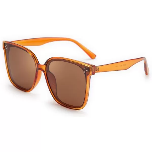 FEISEDY Retro Square Polarized Sunglasses Women Men Vintage Minimalist Shades B2600Jacinth