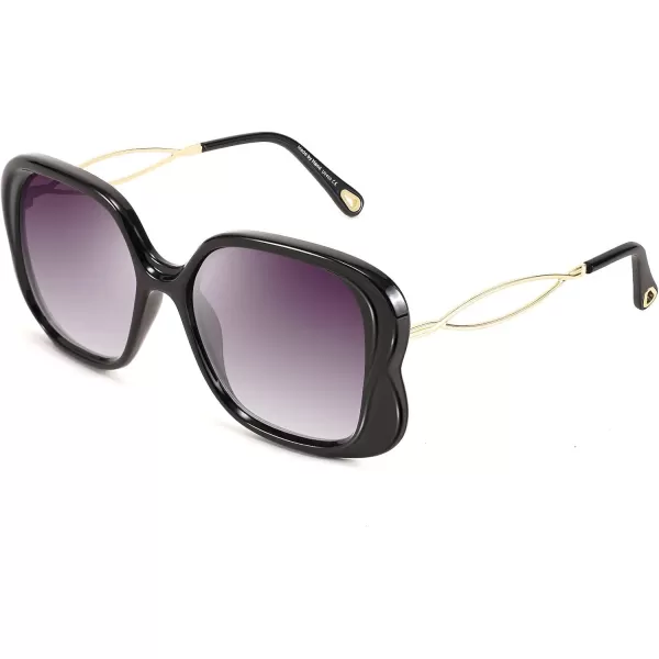 FEISEDY Oversized Butterfly Sunglasses for Women Fashion Charming Ladies Sunglass B2705Black