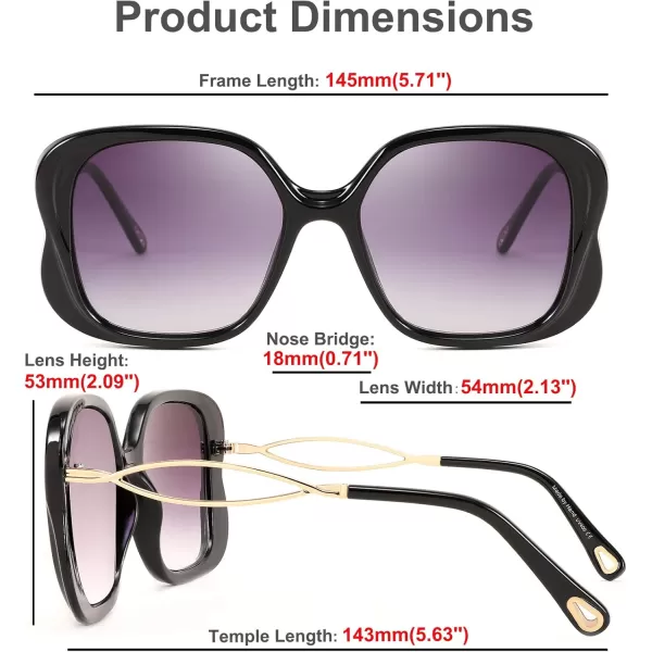 FEISEDY Oversized Butterfly Sunglasses for Women Fashion Charming Ladies Sunglass B2705Black