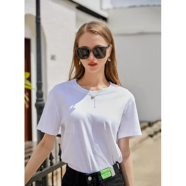 FEISEDY Women Oversized Vintage Polarized Sunglasses Square Cute Trendy Classic Simple Men B2758002 Transparent Grey Frame  Grey Lens